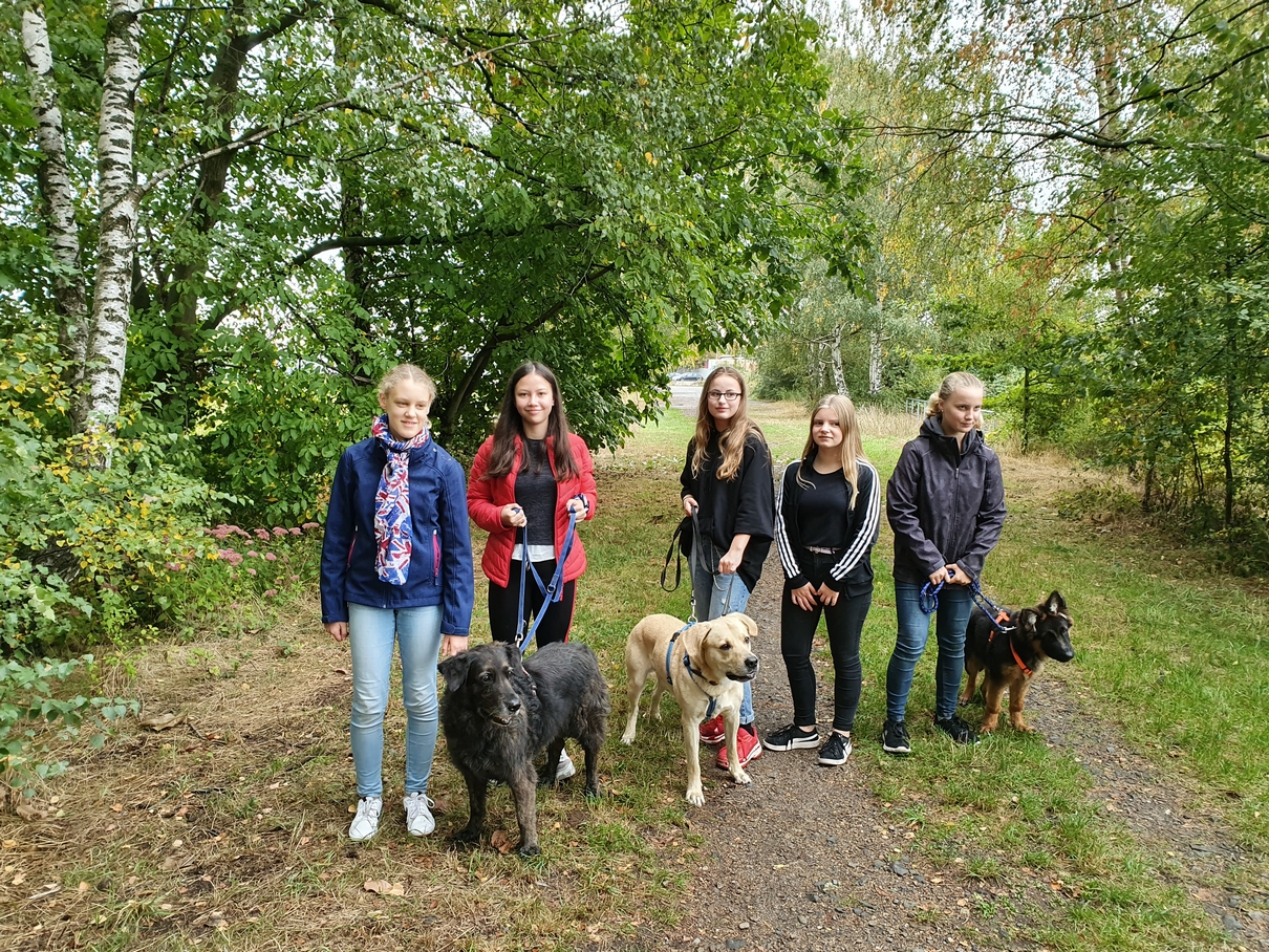 Das Thg Unterstutzt Im Wolfenbuttler Tierheim Theodor Heuss Gymnasium Wolfenbuttel